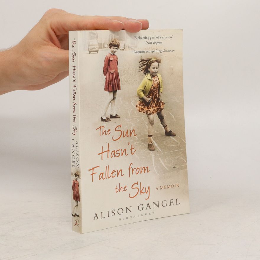 Alison Gangel The Sun Hasn't Fallen From the Sky