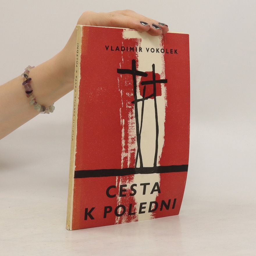 Vladimír Vokolek Cesta k poledni