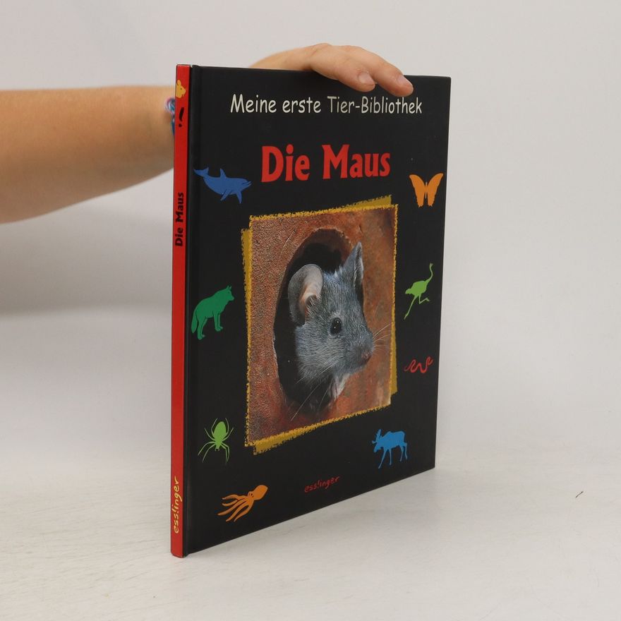 Stéphane Frattini Die Maus