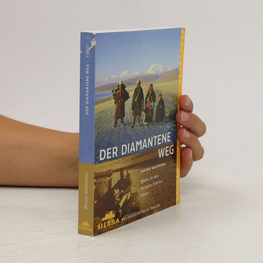 Bruno Baumann Der Diamantene Weg