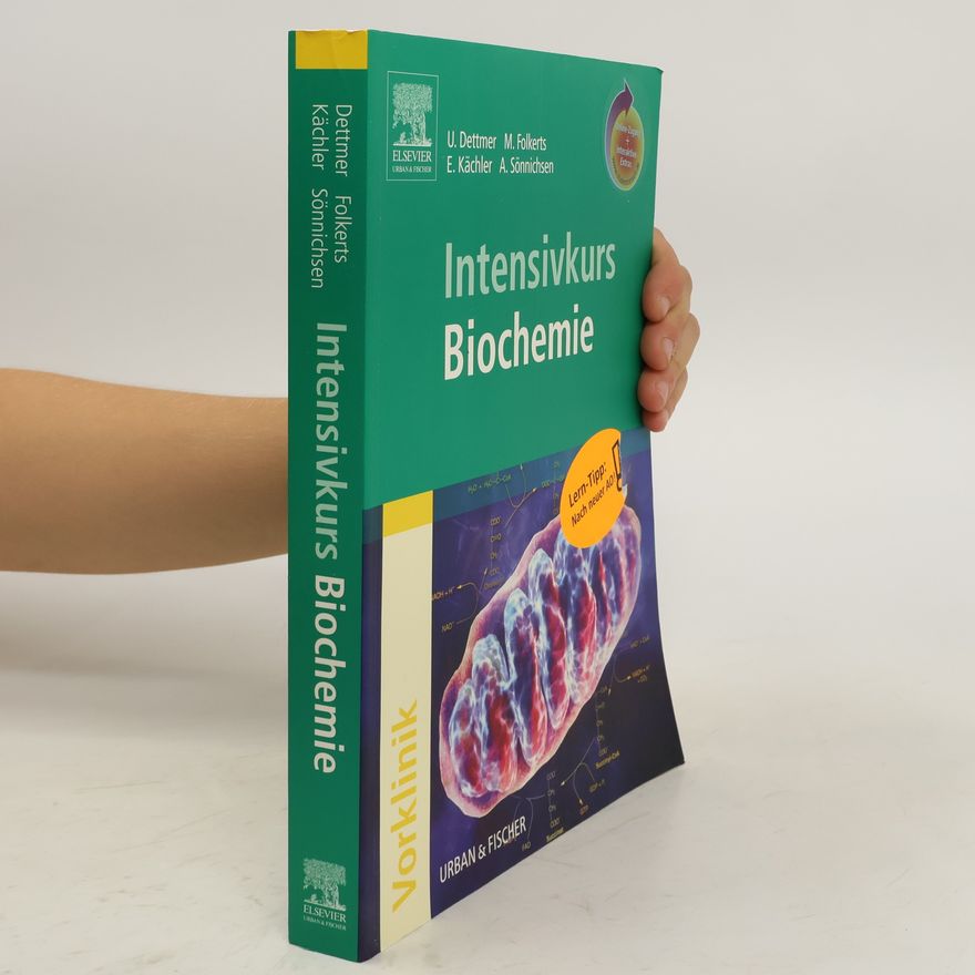 Ulf Dettmer Intensivkurs Biochemie