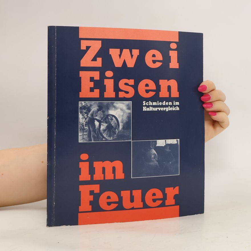 Elisabeth Tietmeyer Zwei Eisen im Feuer