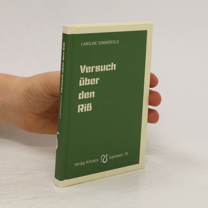 Caroline Sommerfeld-Lethen Versuch über den Riß