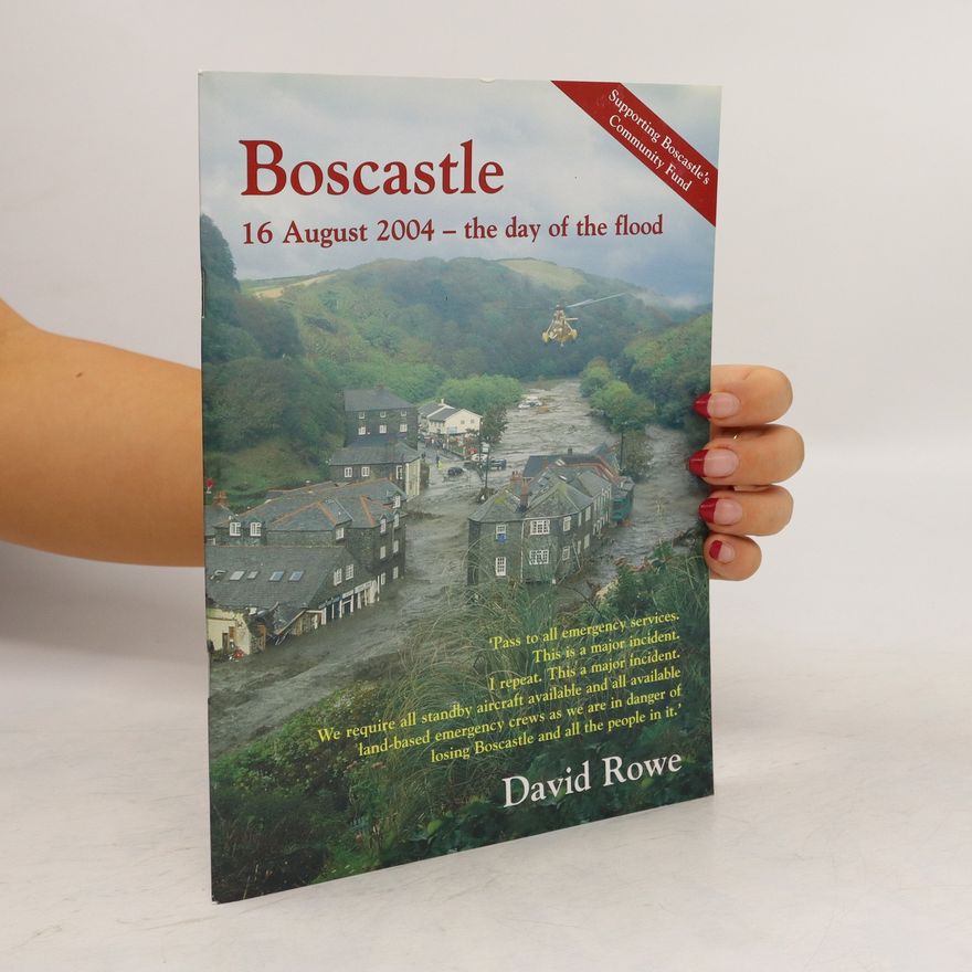David Rowe Boscastle