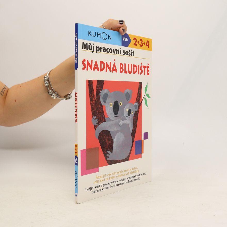 Vlasta Benešová Můj pracovní sešit. Snadná bludiště