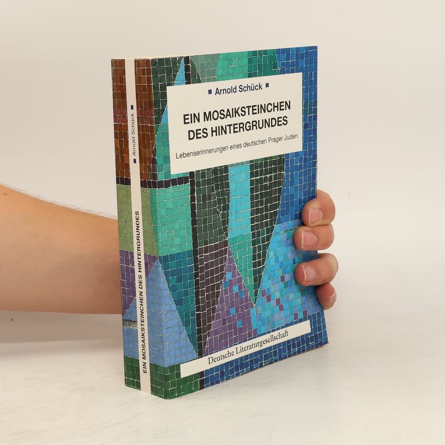 Arnold Schück Ein Mosaiksteinchen des Hintergrundes