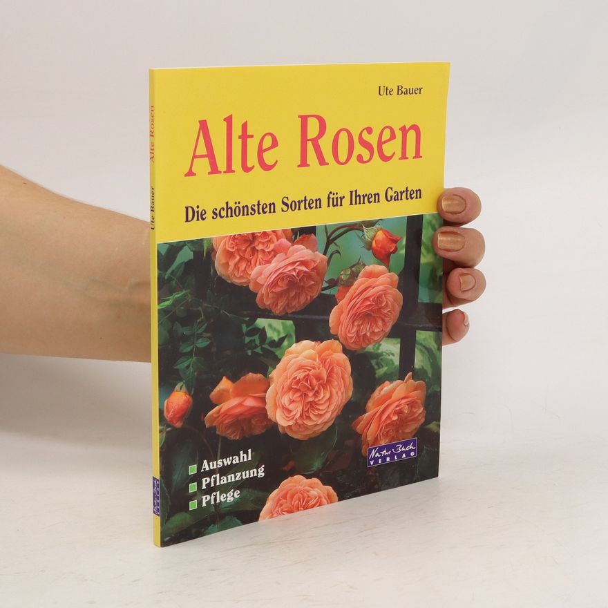 Ute Bauer Alte Rosen