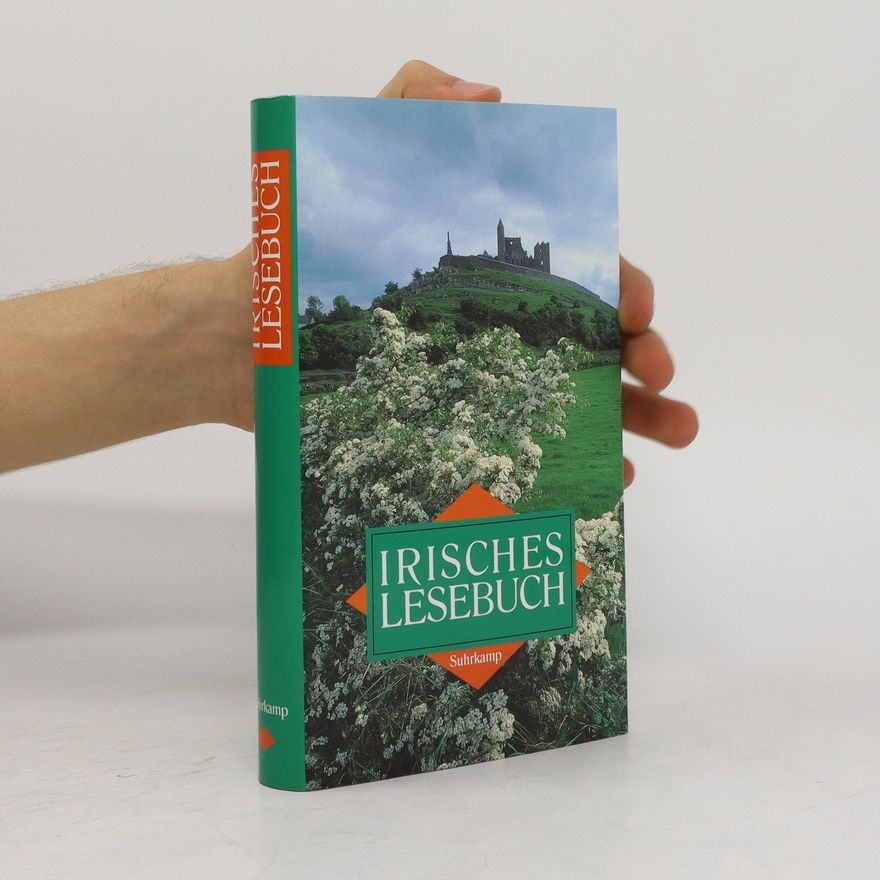 Gudrun Boch Irisches Lesebuch