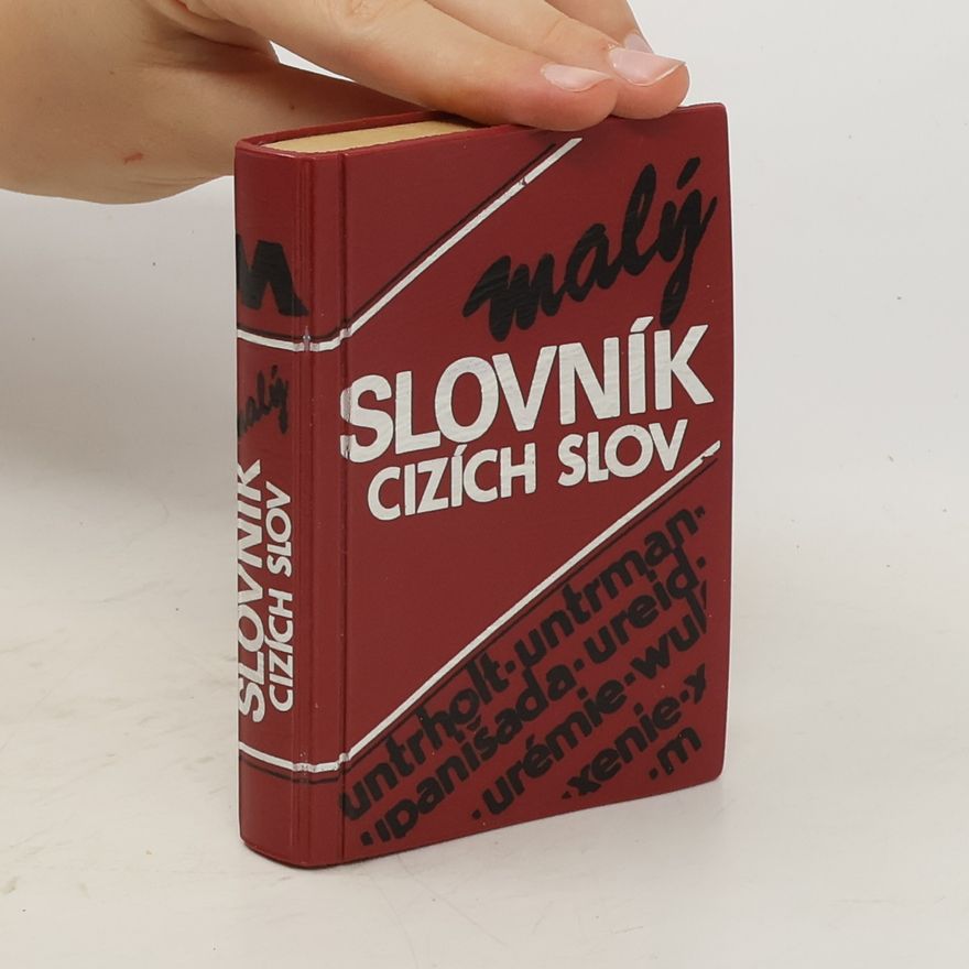 AA.VV. Malý slovník cizích slov