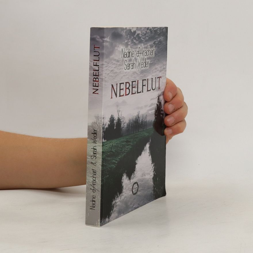 Nadine D. Arachart Nebelflut