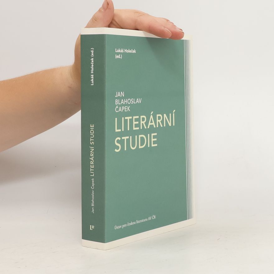 Lukáš Holeček Literární studie