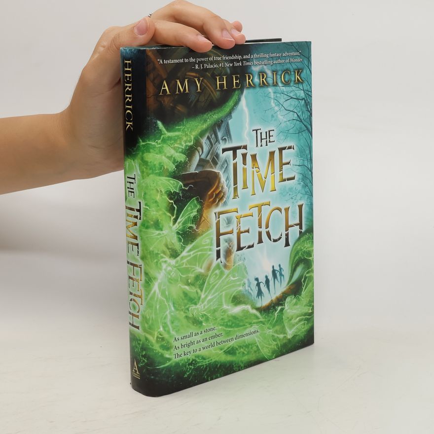 Amy Herrick The Time Fetch