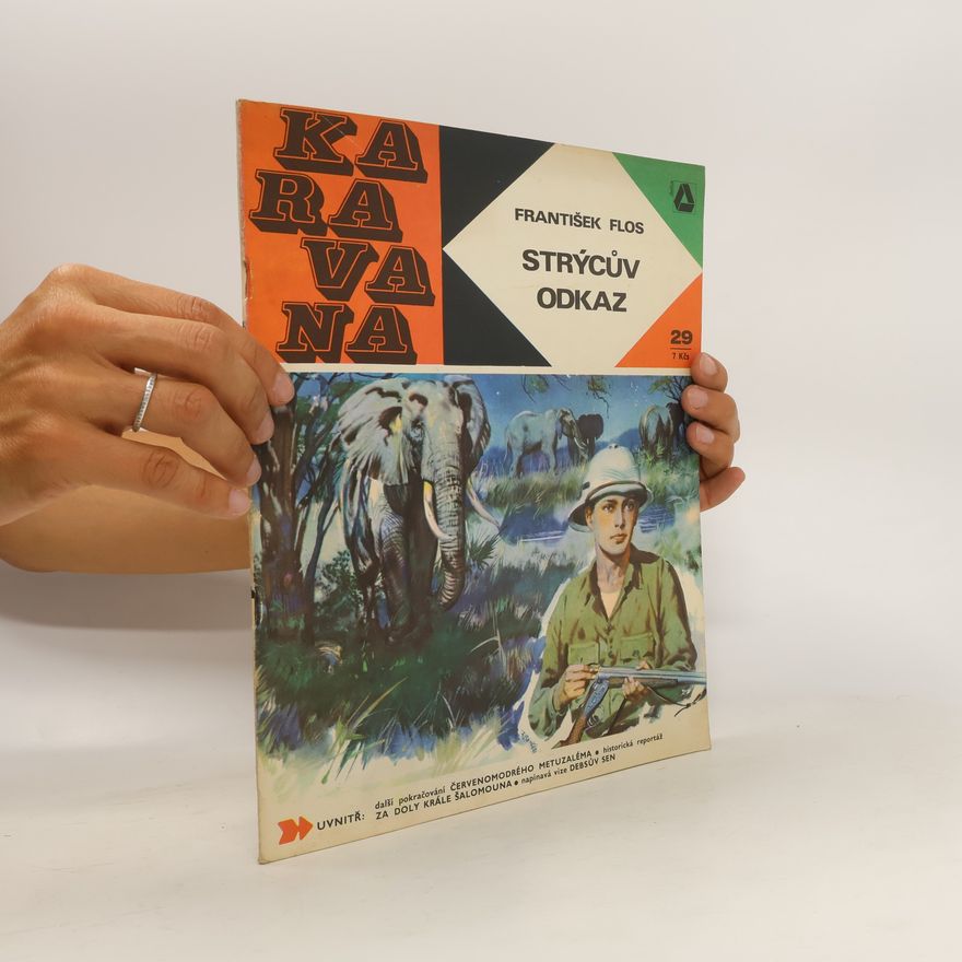 František Flos Strýcův obraz