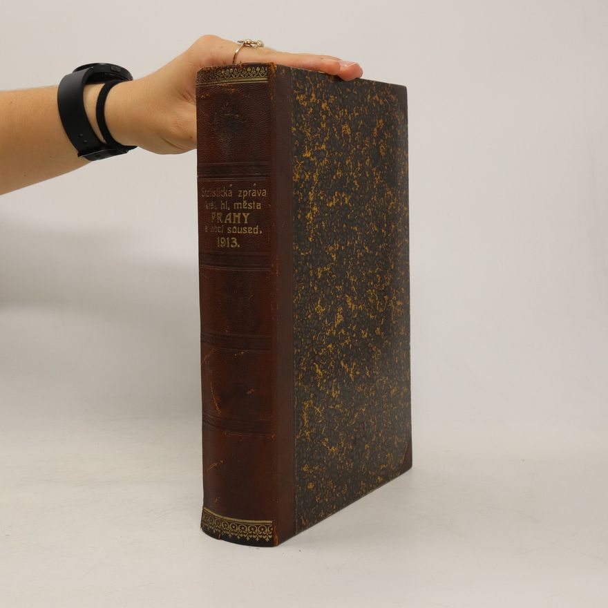 AA.VV. Statistická zpráva král. hl. města Prahy a obcí soused. 1913