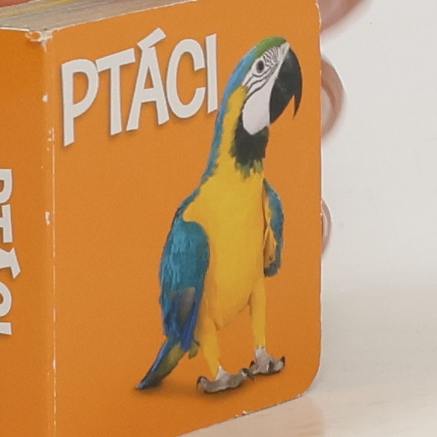 Various authors Ptáci