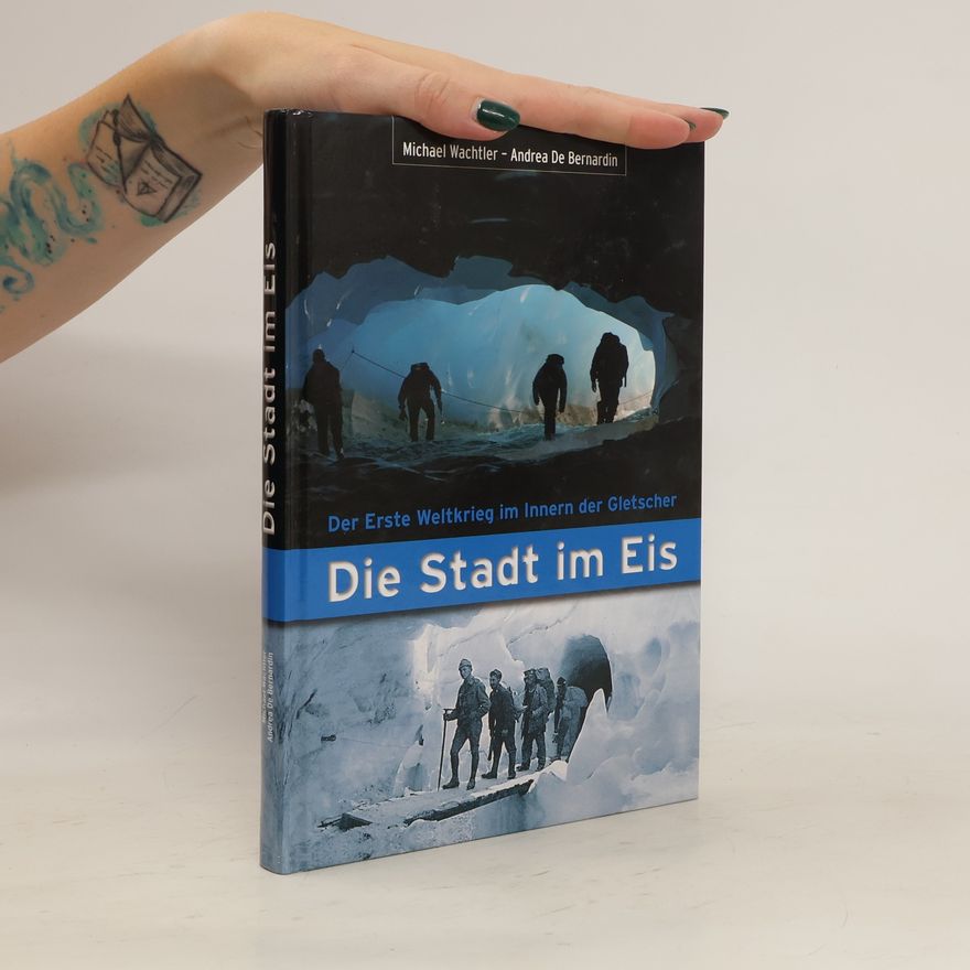 Andrea de Bernardin Die Stadt im Eis
