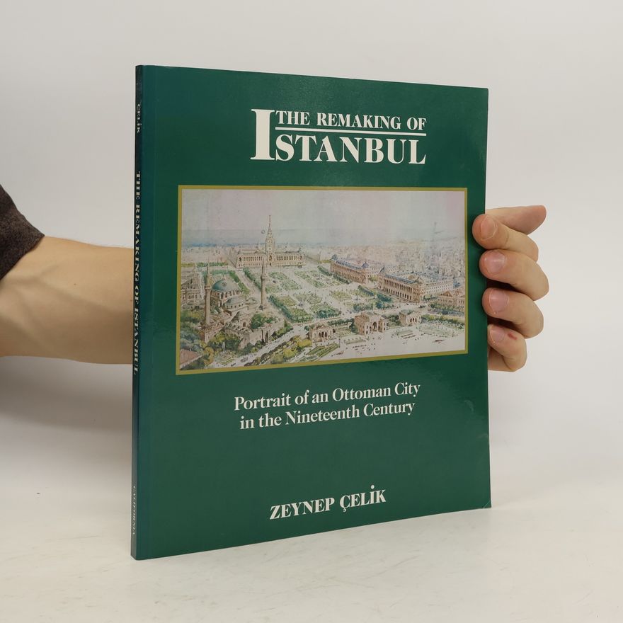 Zeynep Çelik Alexander The Remaking of Istanbul