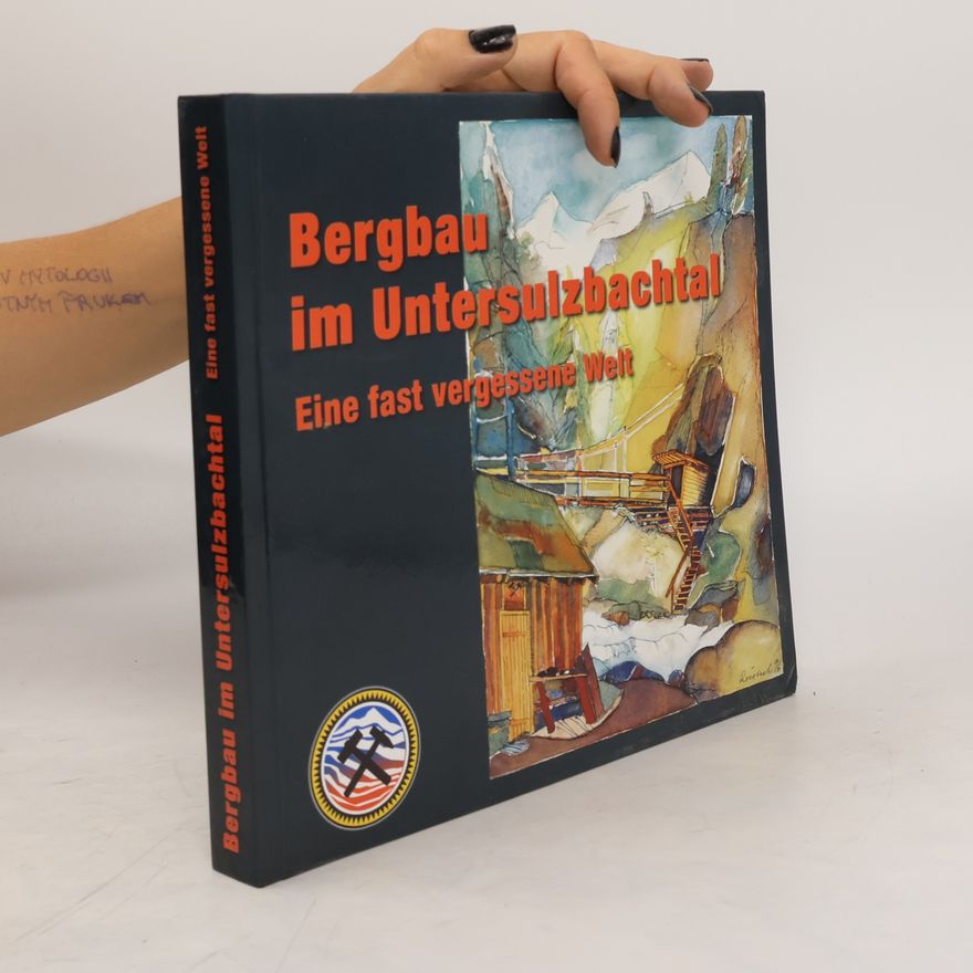 Autorenkollektiv Bergbau im Untersulzbachtal