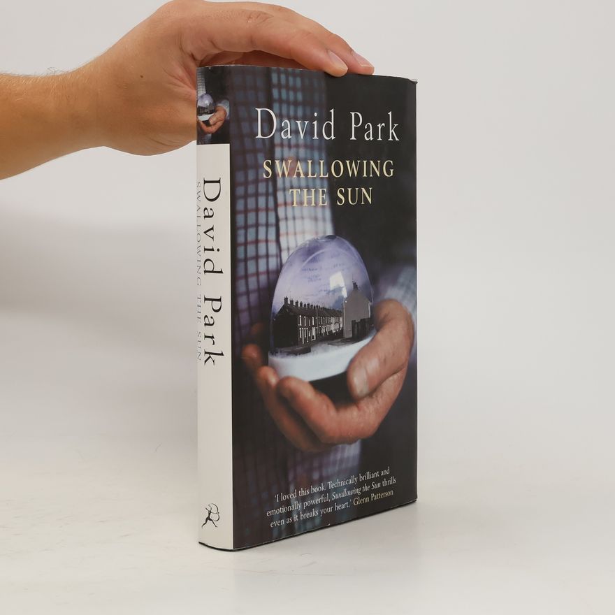 David Park Swallowing the Sun