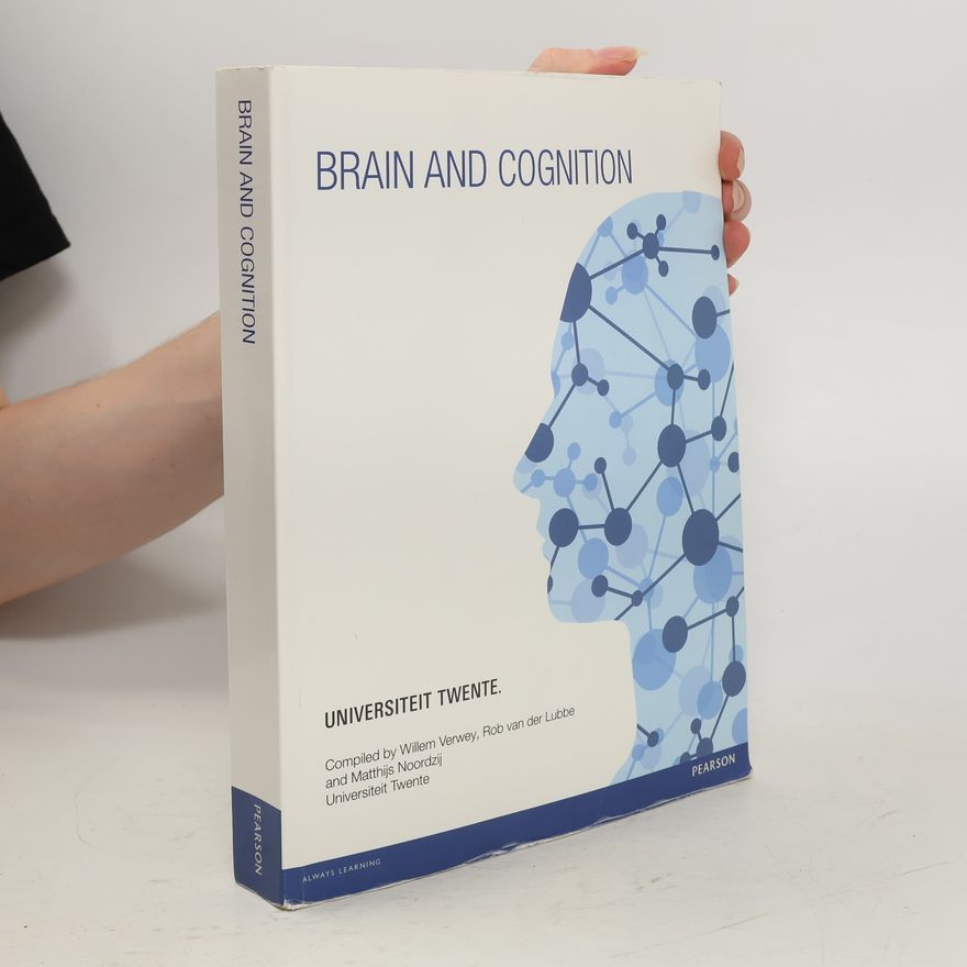 Matthijs Noordzij Brain and Cognition