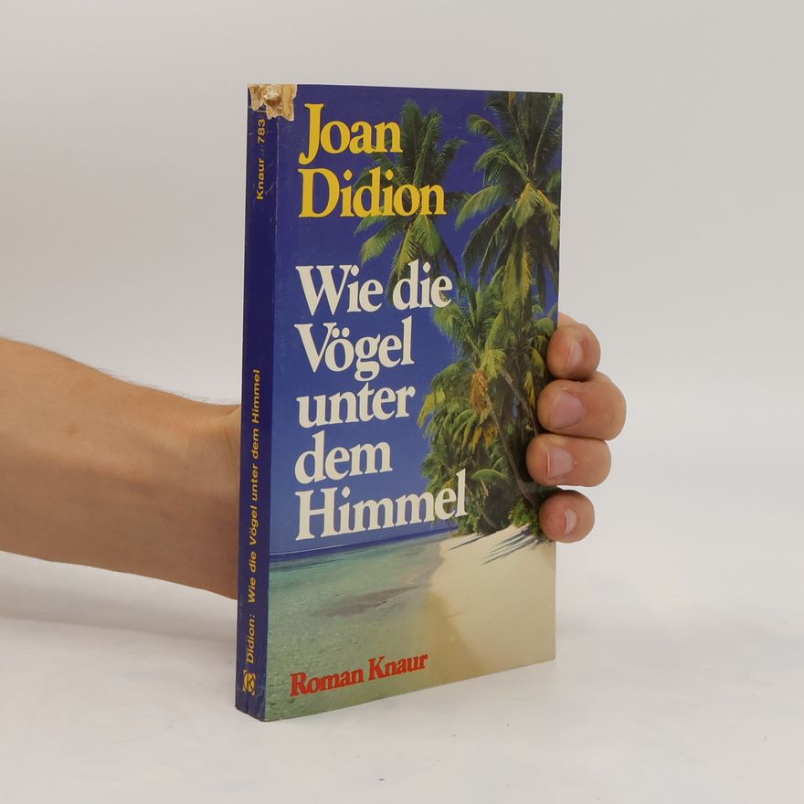 Joan Didion Wie die Vögel unter dem Himmel