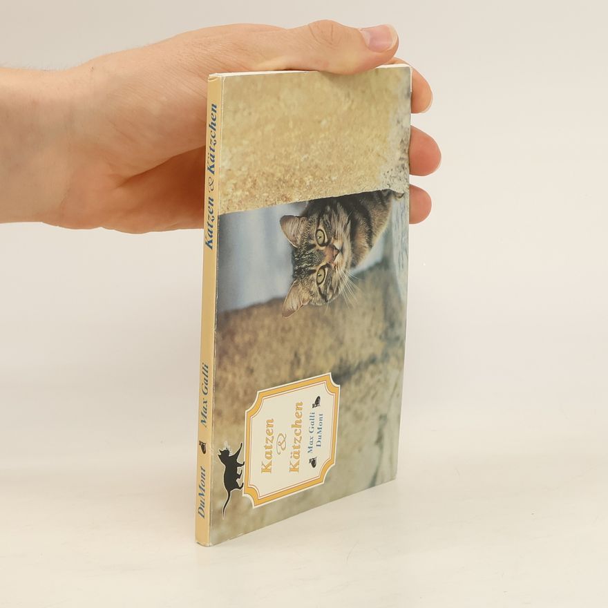 Max Galli Katzen & Kätzchen