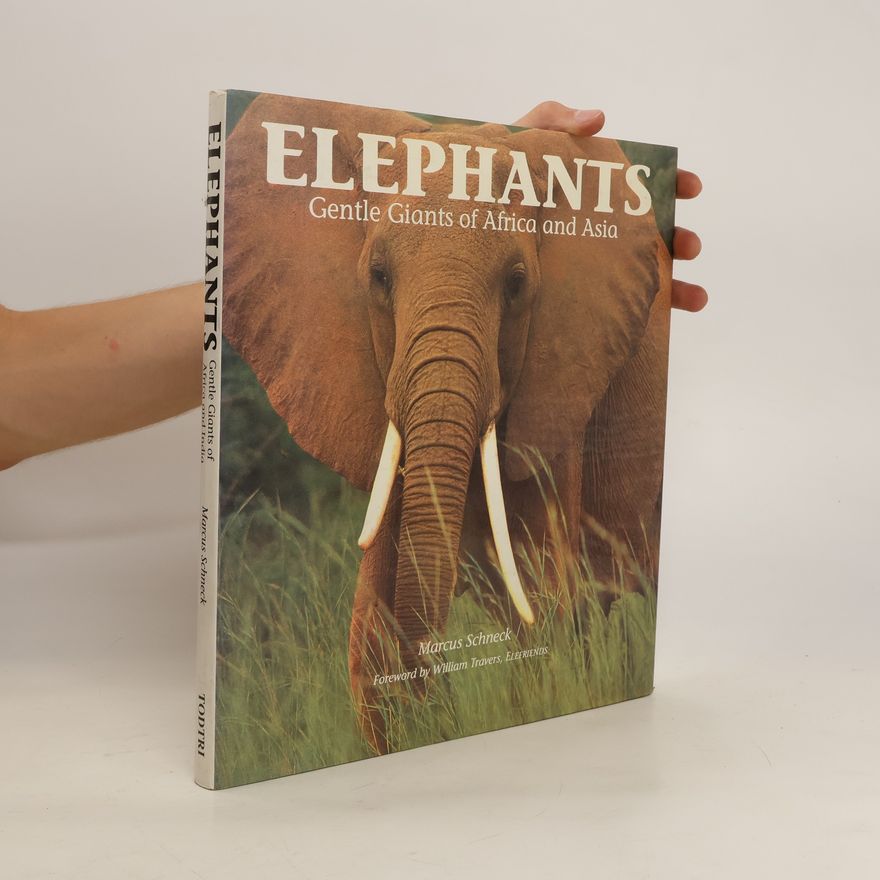 Marcus Schneck Elephants