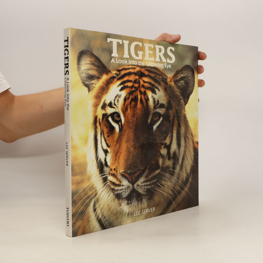 Lee Server Tigers. A Look Into the Glittering Eye