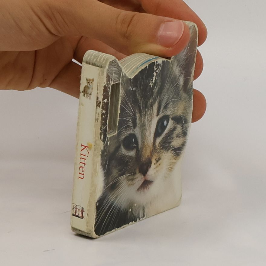 Kolektiv autorů Kitten. Buggy Books