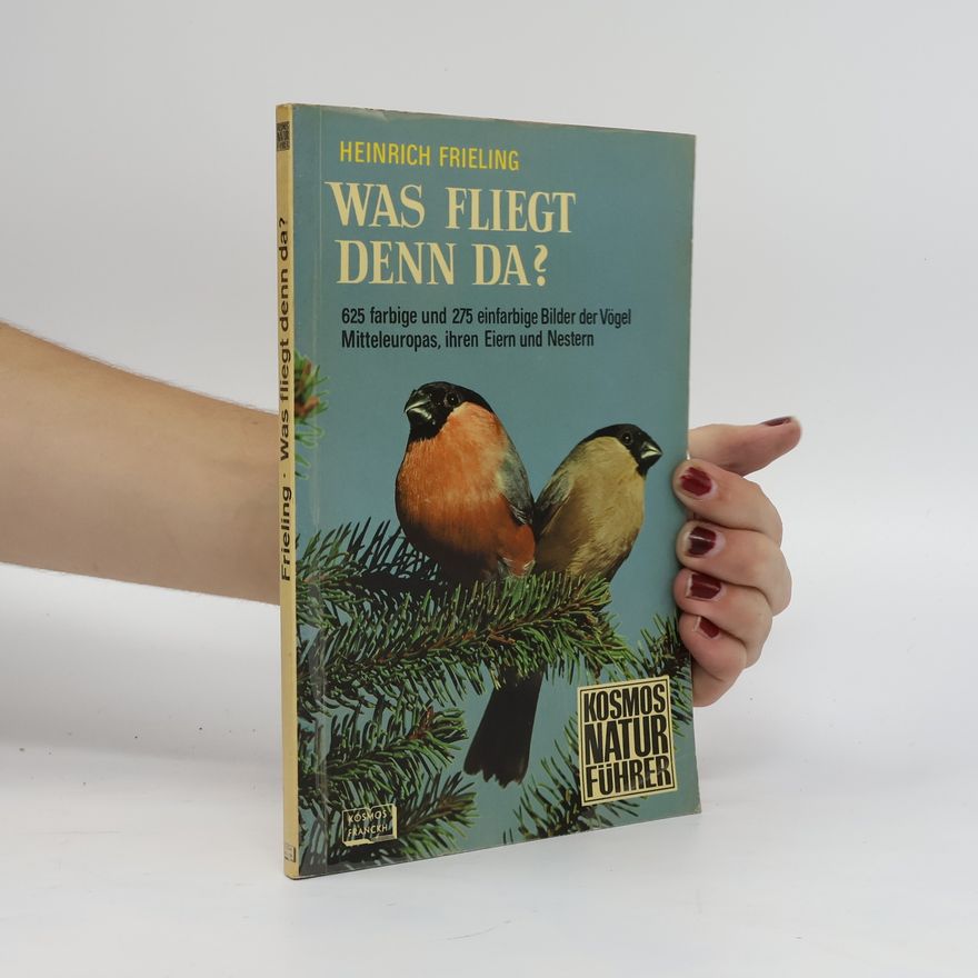 Heinrich Frieling Was flieght denn da?
