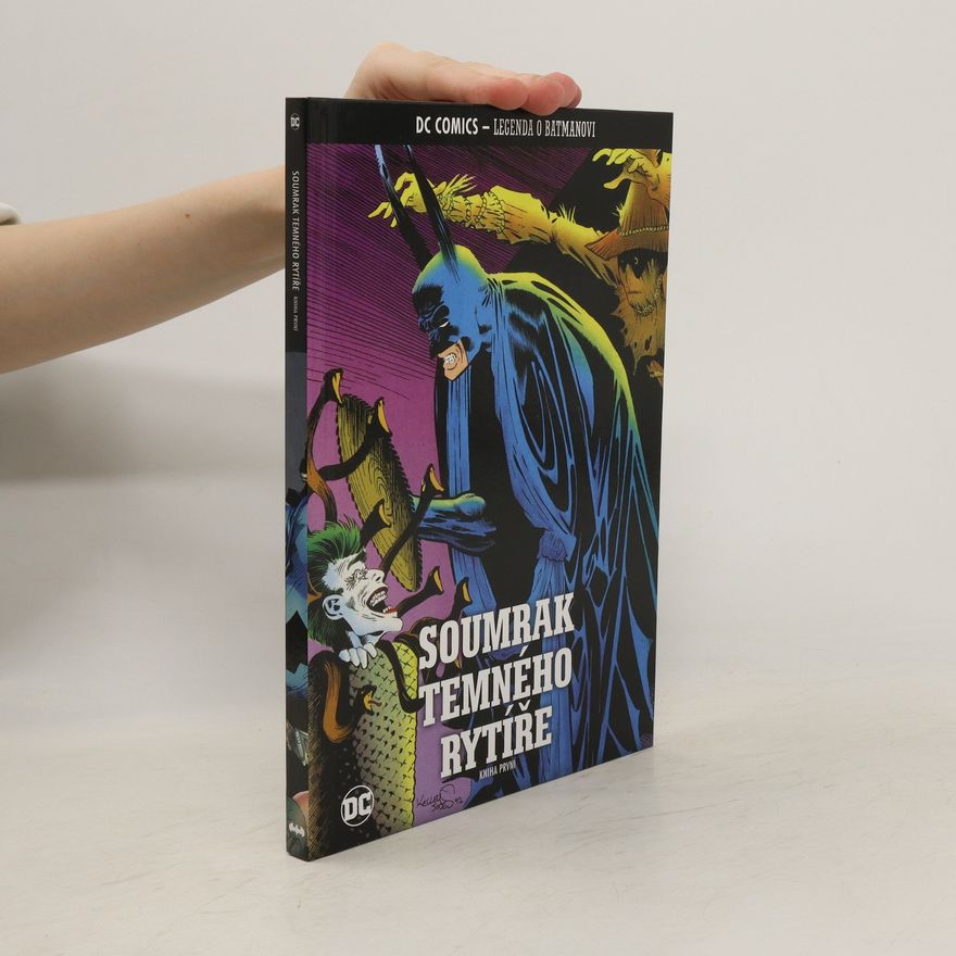 Autorenkollektiv Soumrak Temného rytíře. Kniha první
