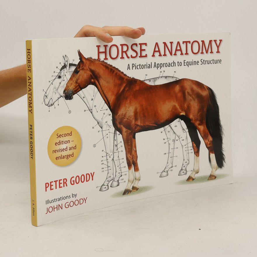 Peter C. Goody Horse Anatomy