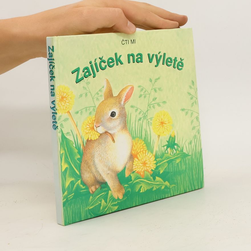 Kolektiv autorů Zajíček na výletě