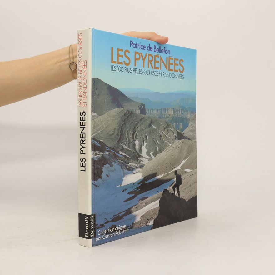 Patrice de Bellefon Les Pyrénées