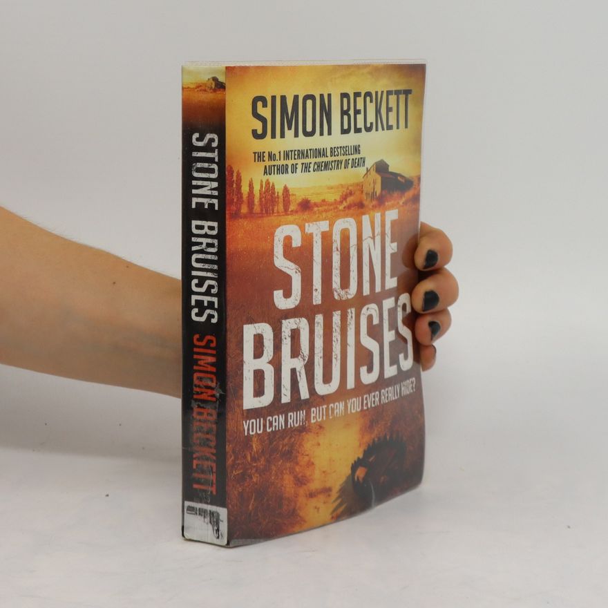Simon Beckett Stone Bruises