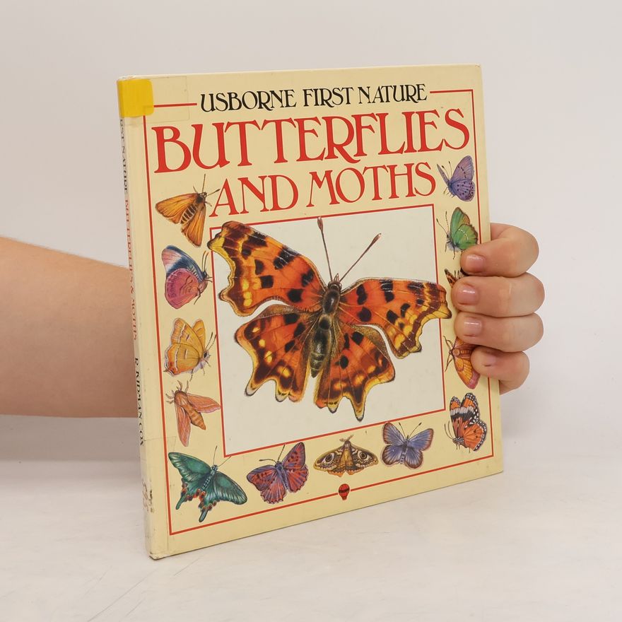 Rosamund Kidman Cox Butterflies and Moths
