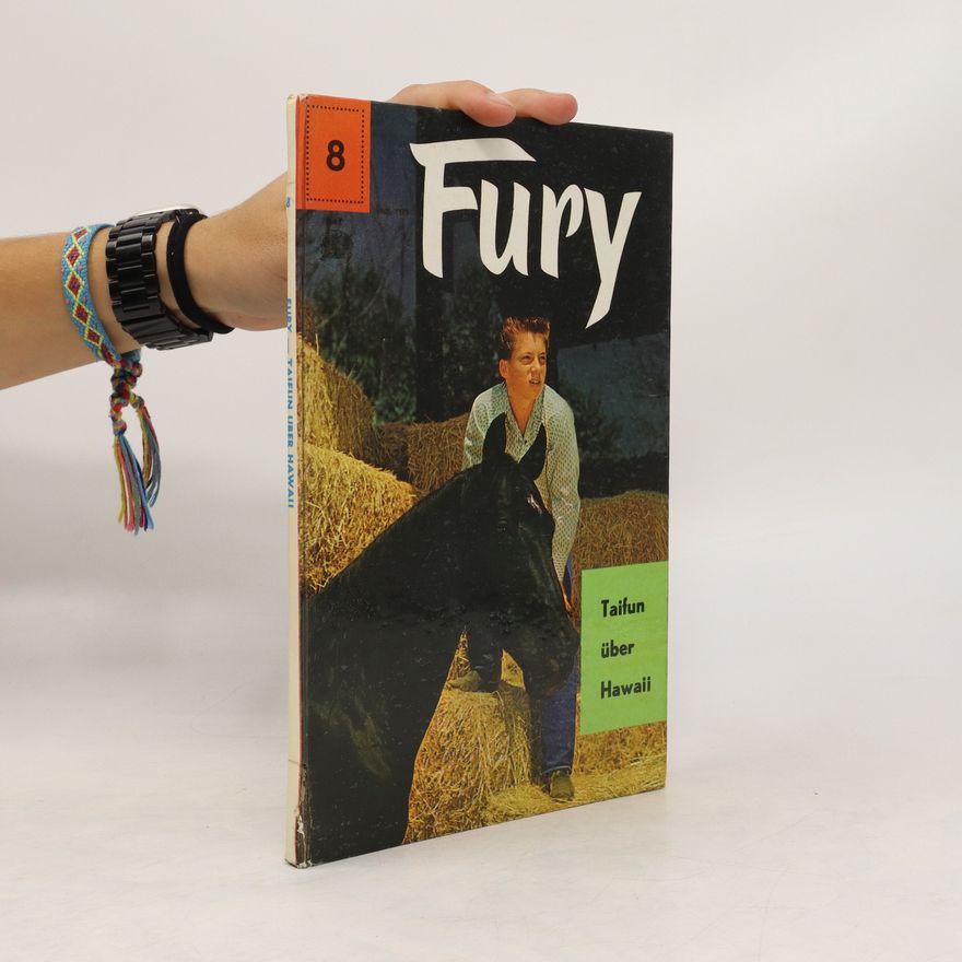 René van Nerum Fury - Taifun über Hawaii