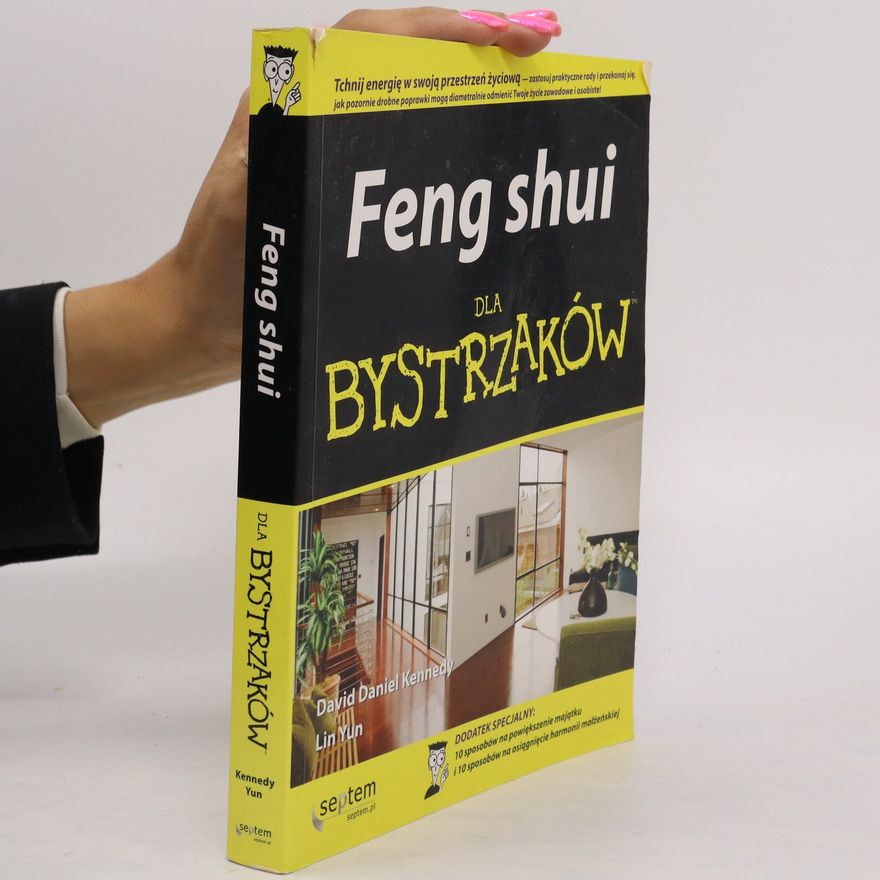 David Daniel Kennedy Feng shui dla bystrzaków