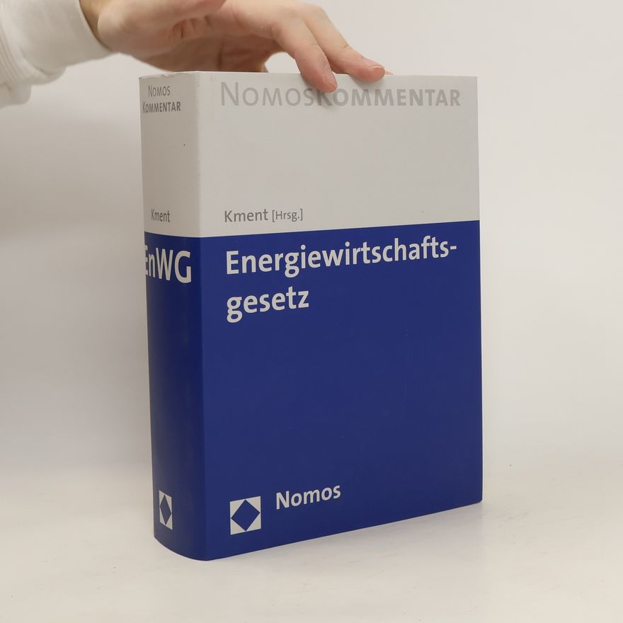 Martin Kment Energiewirtschaftsgesetz