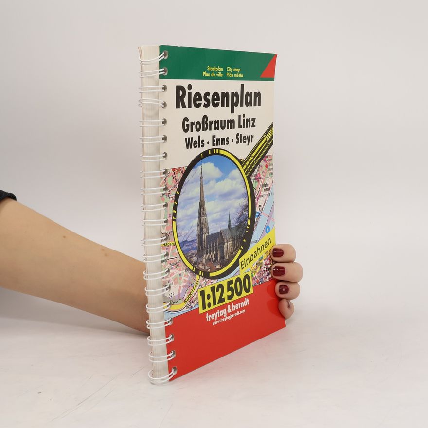 Autorenkollektiv Riesenplan Großraum Linz, Wels, Steyr, Enns