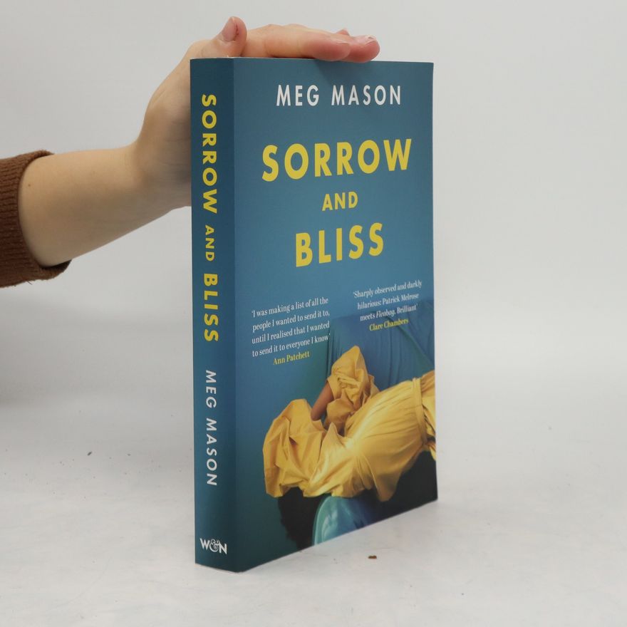 Meg Mason Sorrow and Bliss