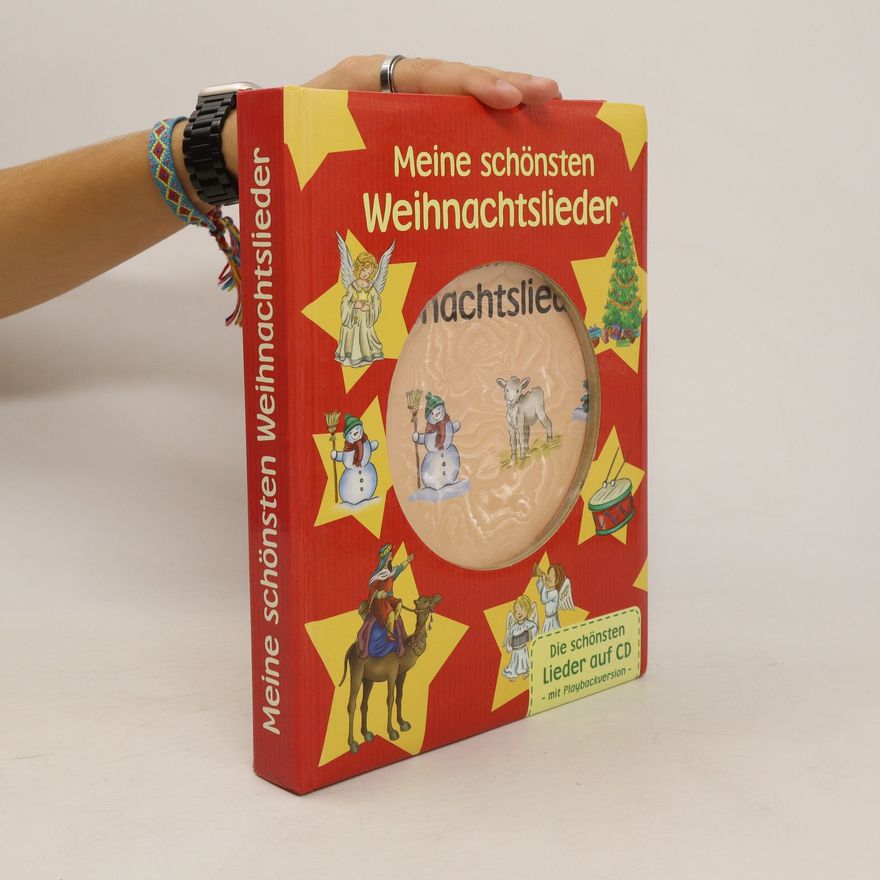 Kolektiv autorů Meine schönsten Weihnachtslieder