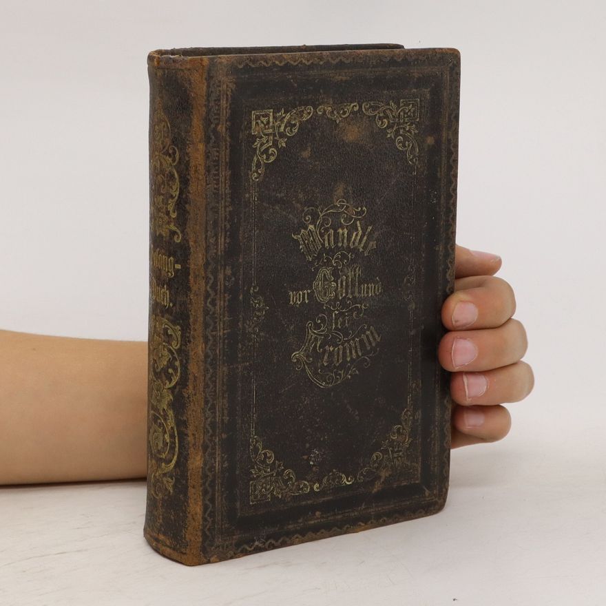 Autorenkollektiv Gelang-Buch zum Gebrauch der evangelisch-lutherischen Kirchengemeinde Reichenau.