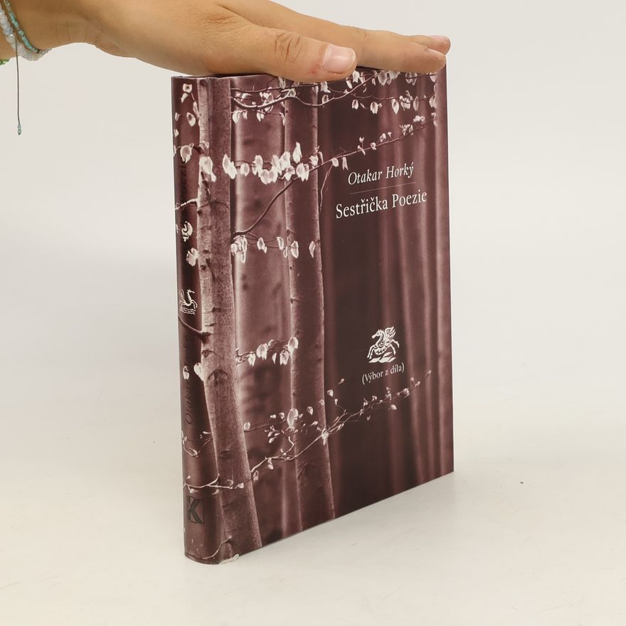 Vladislav Vaculka Sestřička Poezie