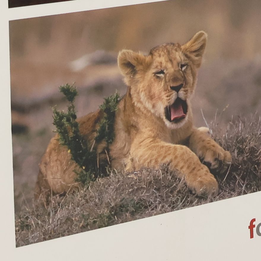 Jürgen Borris Naturfotografie