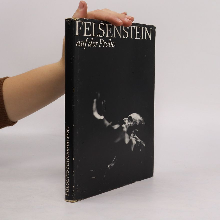 Clemens Dieter Kohl Felsenstein auf der Probe