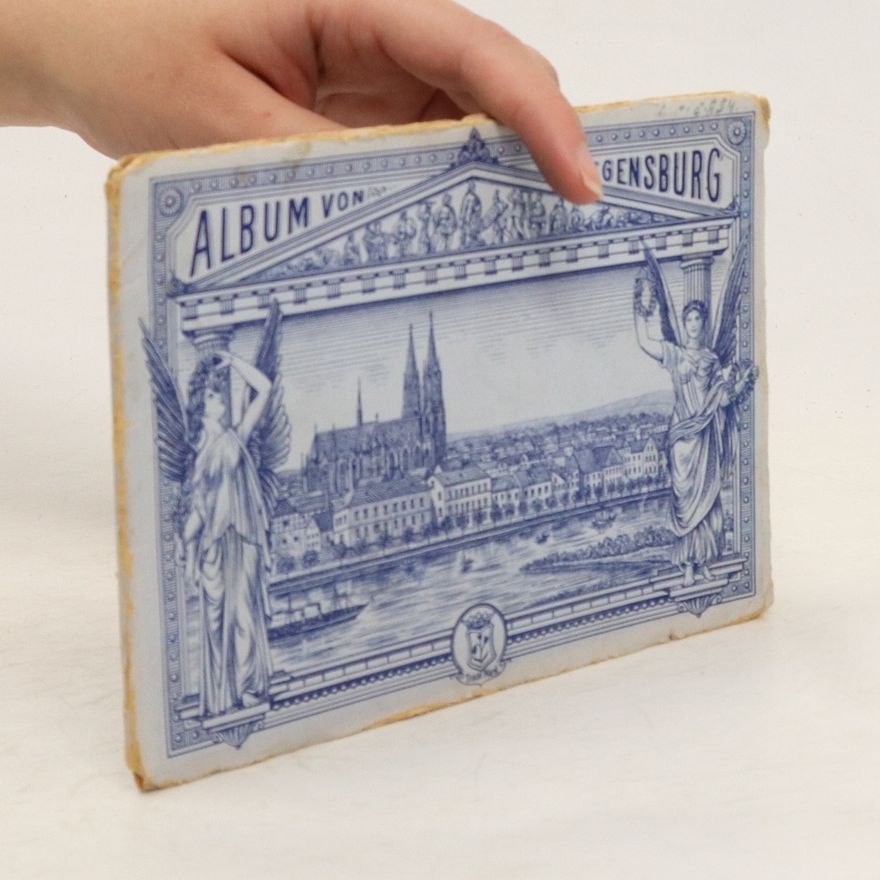 Autores varios Album von Regensburg