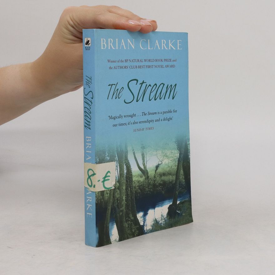 Brian Clarke The Stream