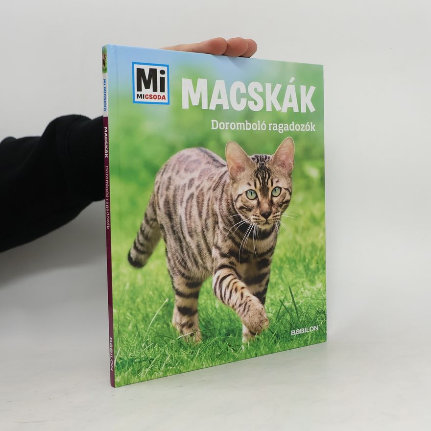 Jutta Aurahs Macskák