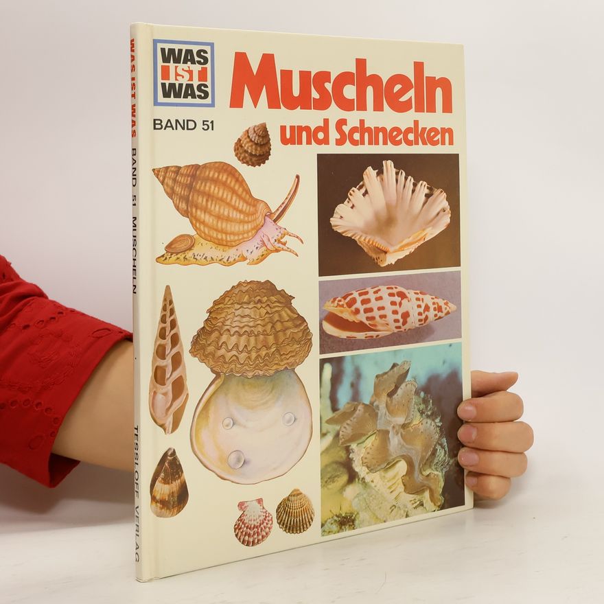 Walter Hähnel Muscheln und Schnecken